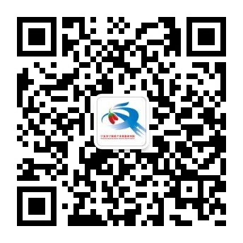 中宁枸杞产业创新研究院